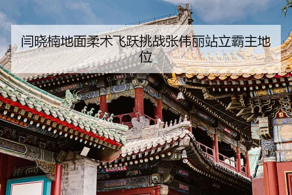 闫晓楠地面柔术飞跃挑战张伟丽站立霸主地位