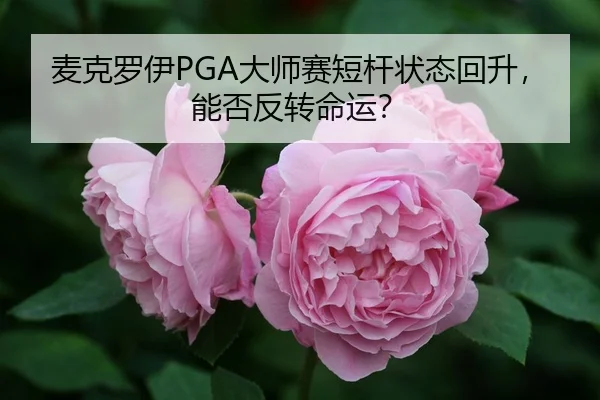 mai-ke-luo-yi-da-shi-sai-duan-gan-zhuang-tai-hui-sheng-neng-fou-fan-zhuan-ming-yun-3-118.jpg