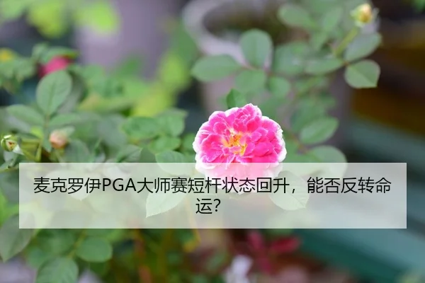 麦克罗伊PGA大师赛短杆状态回升，能否反转命运？