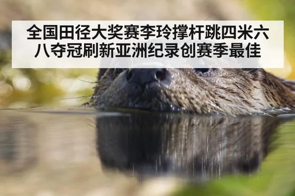 全国田径大奖赛李玲撑杆跳四米六八夺冠刷新亚洲纪录创赛季最佳